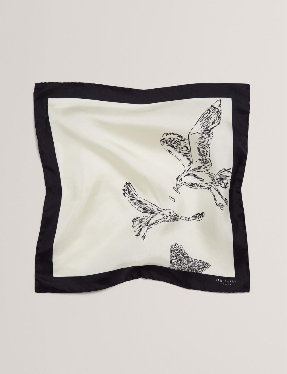 Ted Baker BENHALP - Seagull Graphic Silk Pocket Men Pocket Squares Ecru | UAE  35470-RUQZ