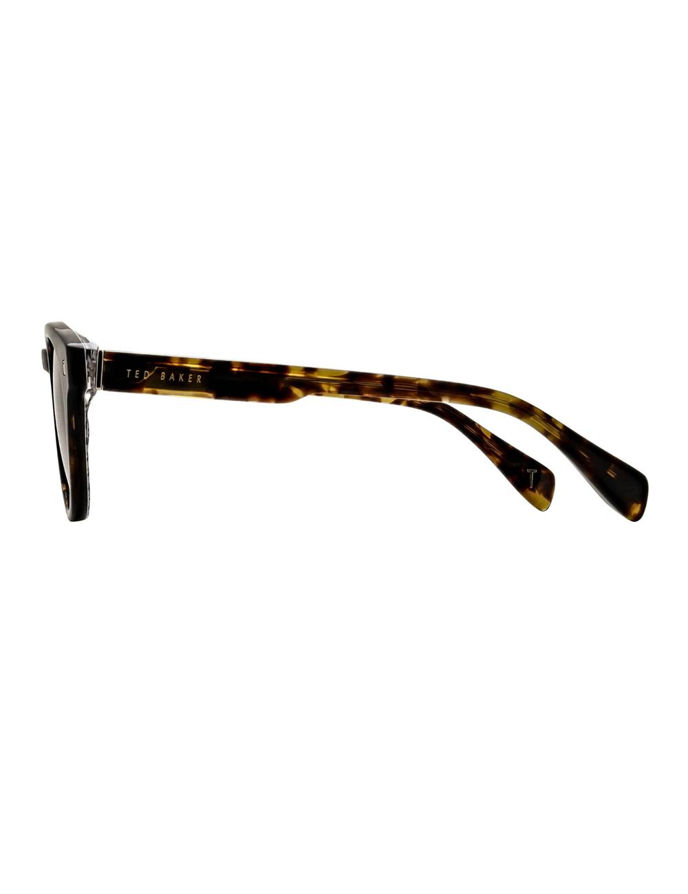 Ted Baker DAX - Round Chunky Temple Men Sunglasses Brown | UAE  01456-EYDS