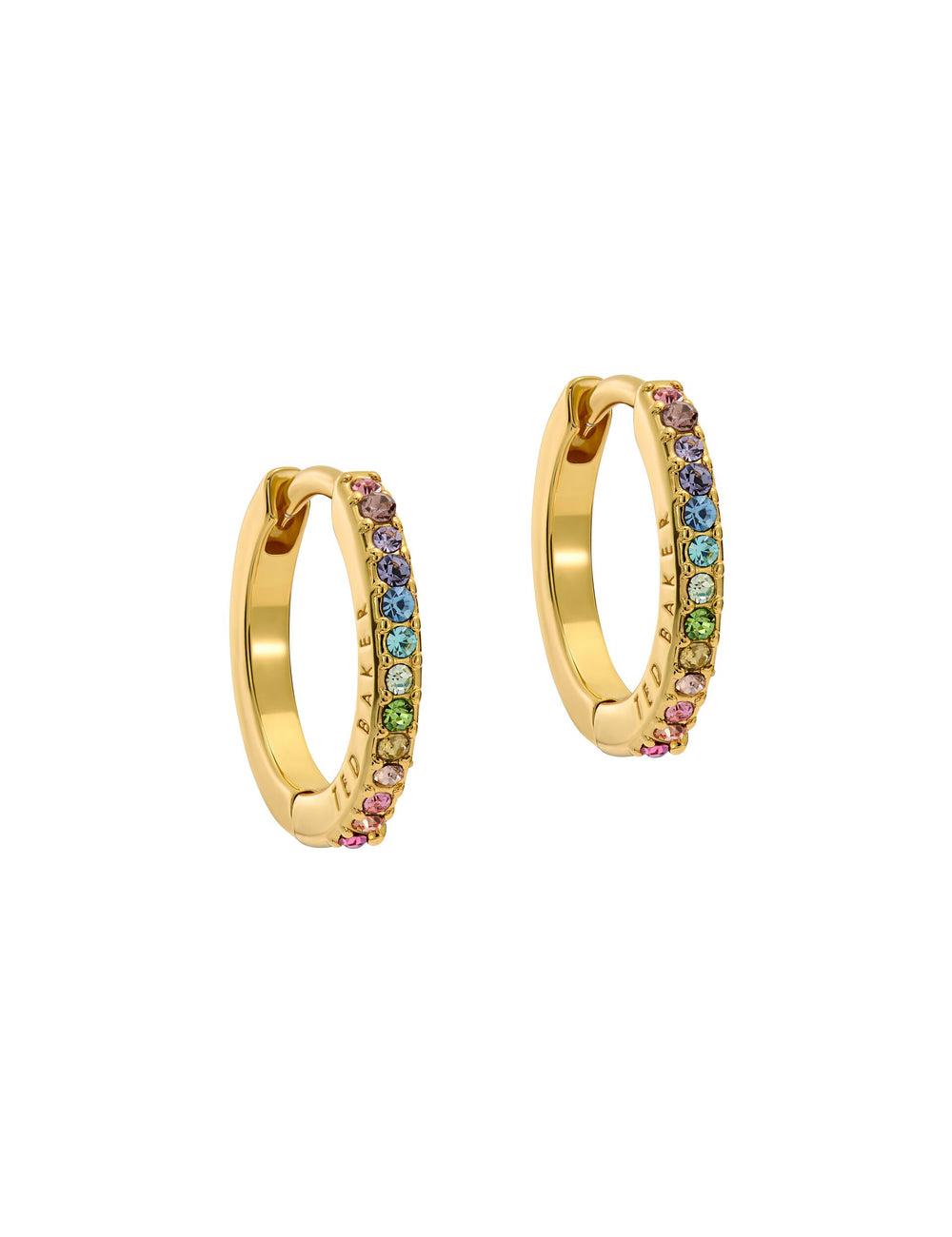 Ted Baker HEPLIE - Crystal Huggie Hoop Women Earrings Multicol | UAE  84572-JZAK