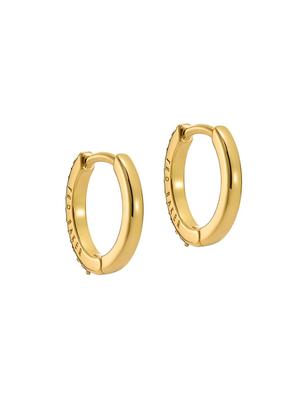 Ted Baker HEPLIE - Crystal Huggie Hoop Women Earrings Multicol | UAE  84572-JZAK