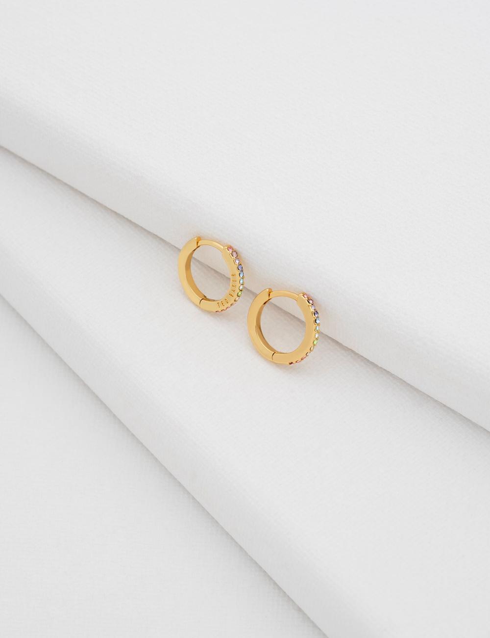 Ted Baker HEPLIE - Crystal Huggie Hoop Women Earrings Multicol | UAE  84572-JZAK
