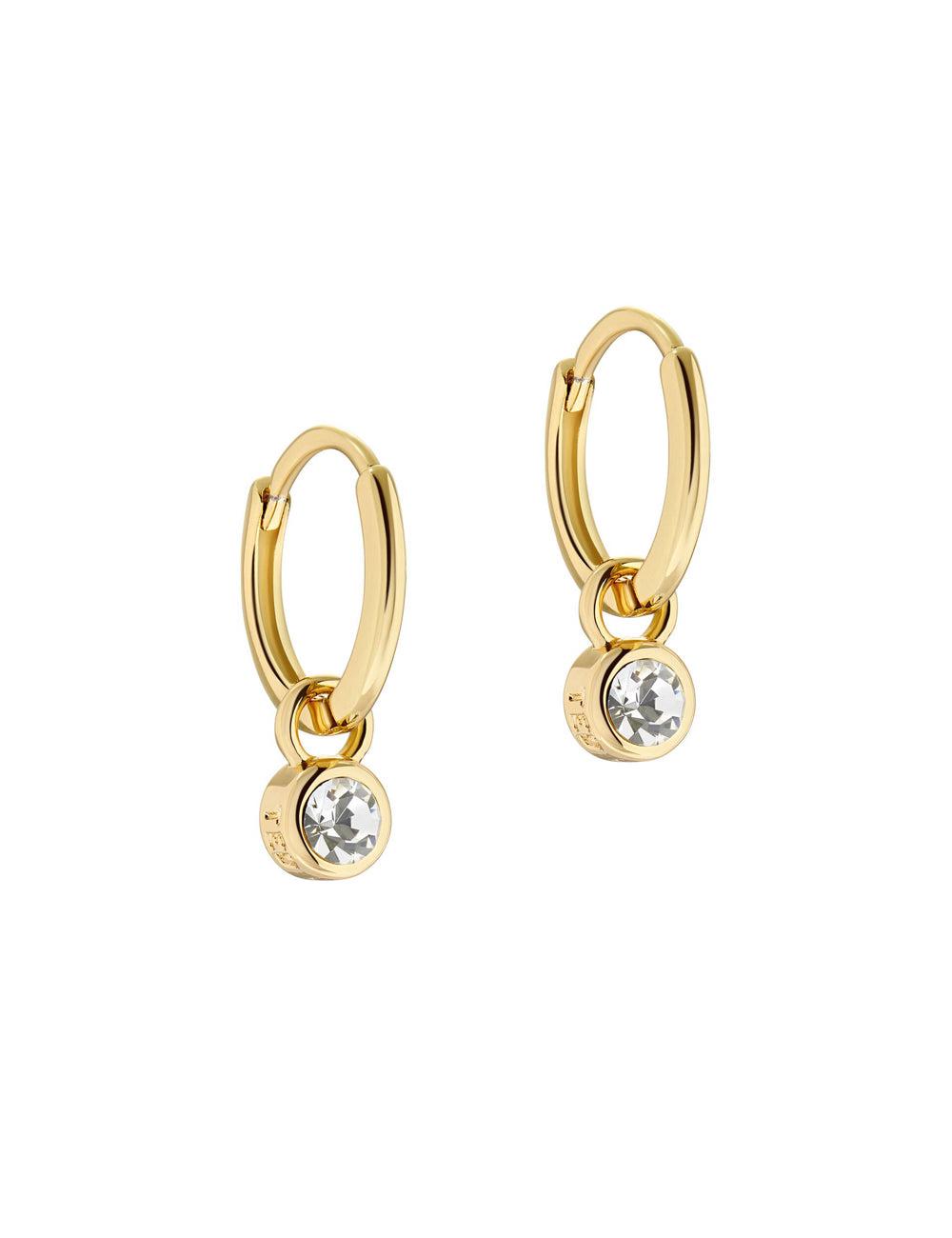Ted Baker SINALAA - Crystal Pendant Huggie Women Earrings Gold | UAE  57362-KIBZ