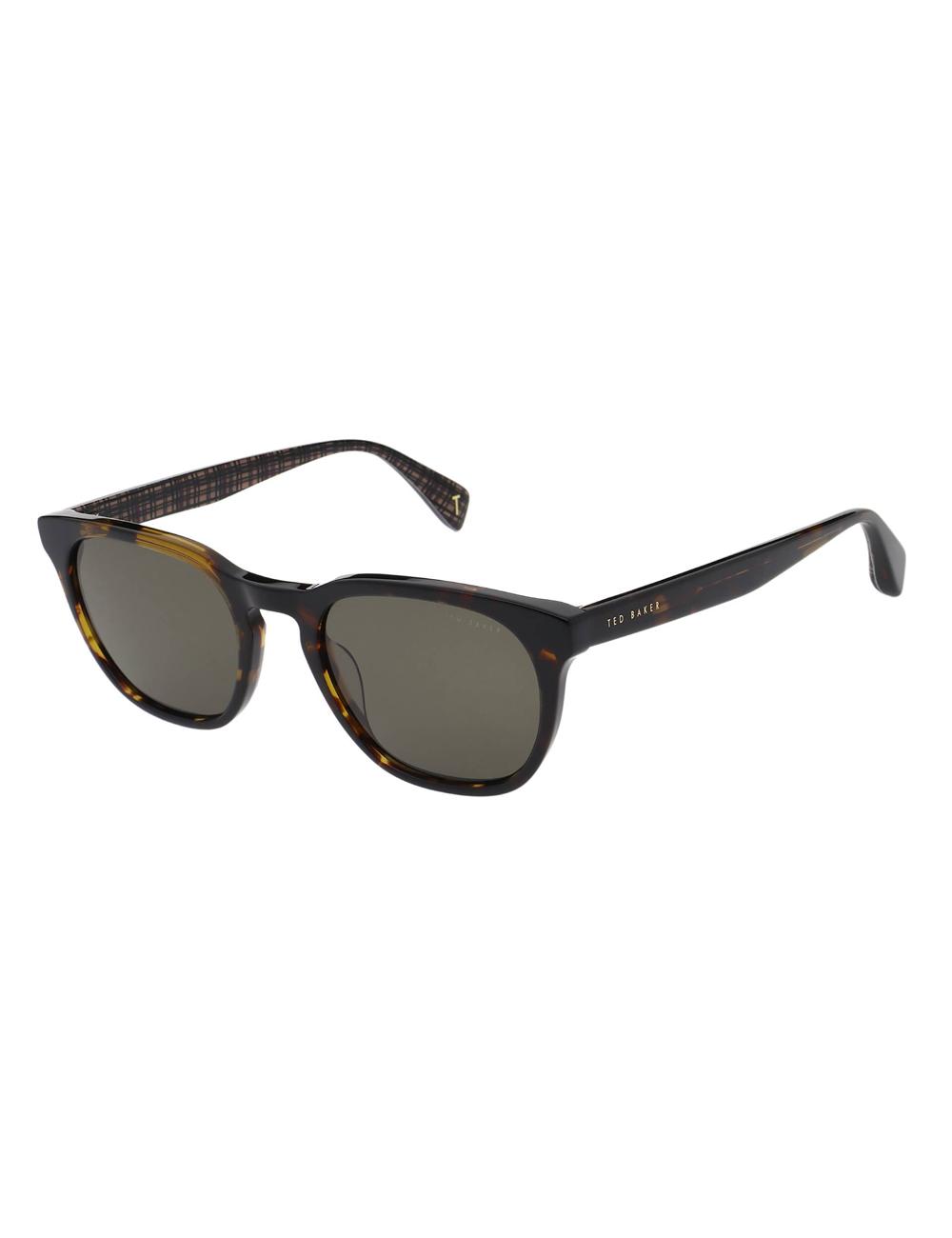 Ted Baker SORLEY - Classic Rounded Eye Men Sunglasses Tort | UAE  12384-VDHM
