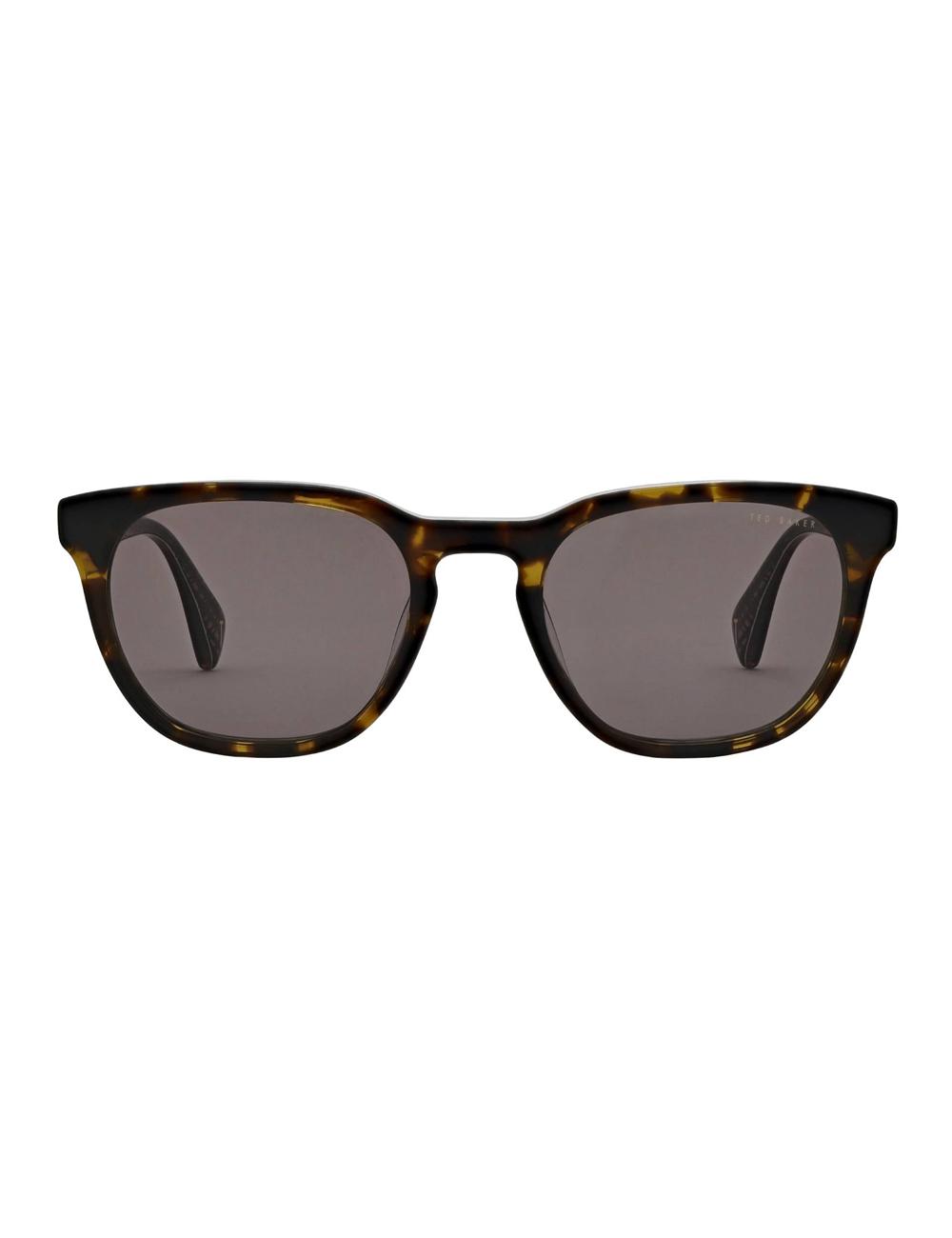Ted Baker SORLEY - Classic Rounded Eye Men Sunglasses Tort | UAE  12384-VDHM